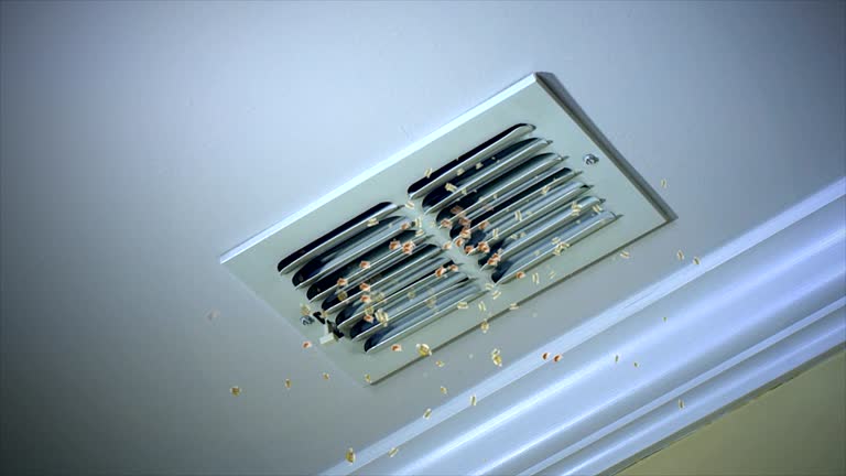 Best Dryer Vent Cleaning Services  in Hamilton, IN