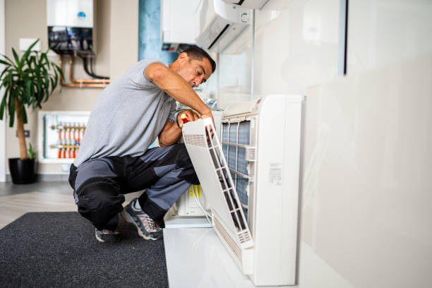 Best Home Air Vent Cleaning  in Hamilton, IN