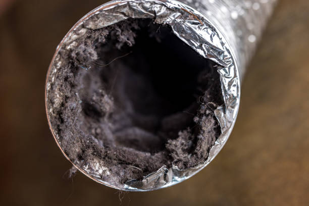 Best Air Duct Mold Removal  in Hamilton, IN