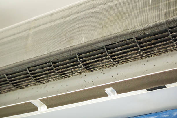 Best HVAC Duct Inspection Services  in Hamilton, IN