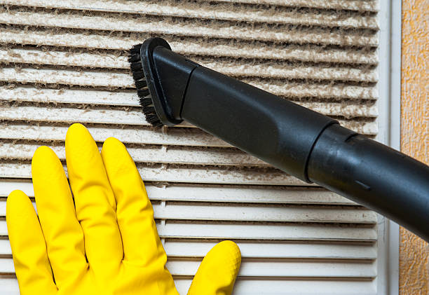 Best Emergency Air Duct Cleaning  in Hamilton, IN
