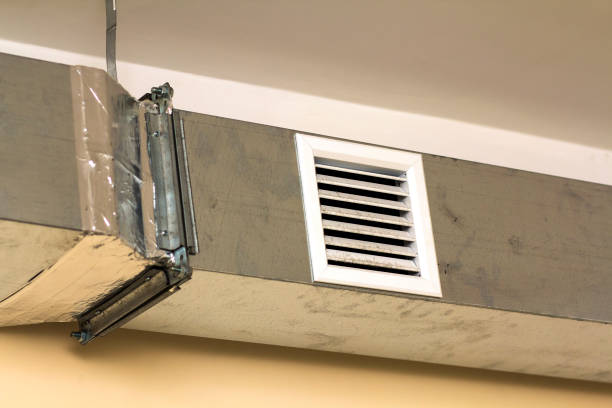 Best Affordable Duct Cleaning Services  in Hamilton, IN